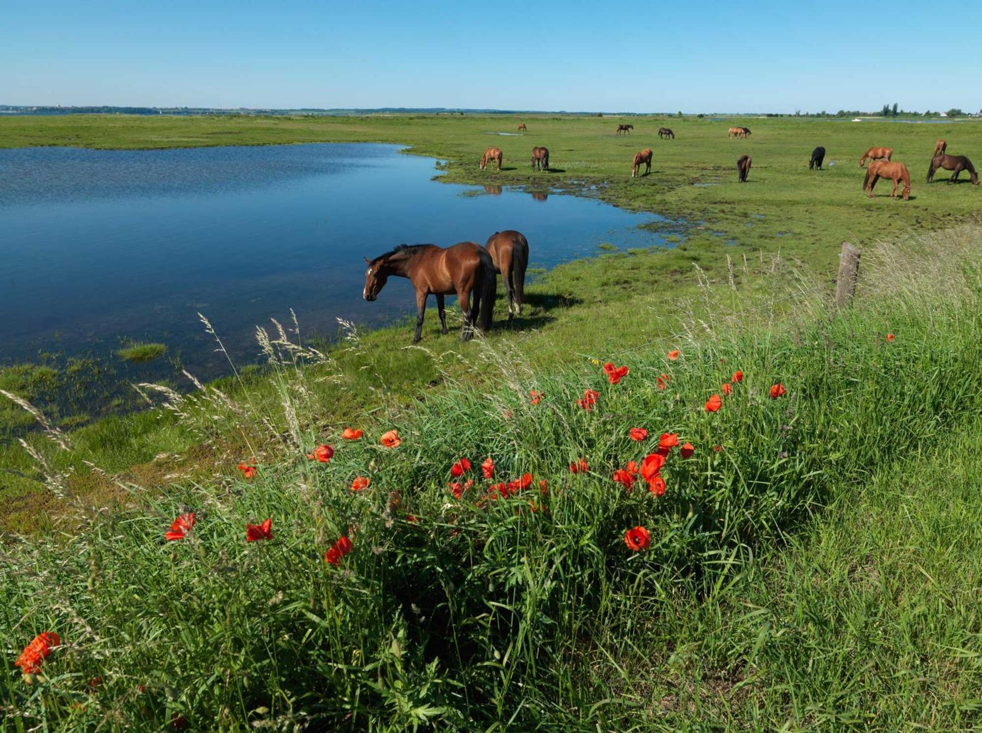 Inselhaeuser Kaltenhof Inselhaus Poel 1 Buitenkant foto